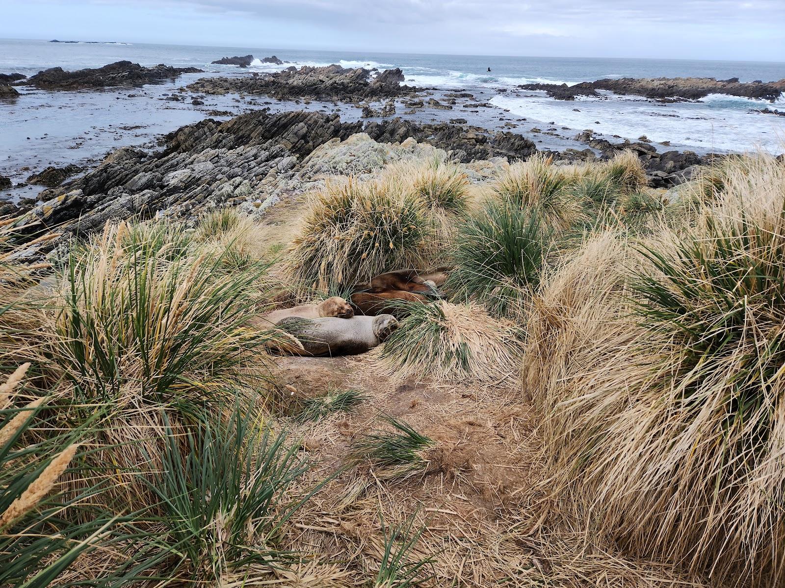 Sandee Cape Pembroke