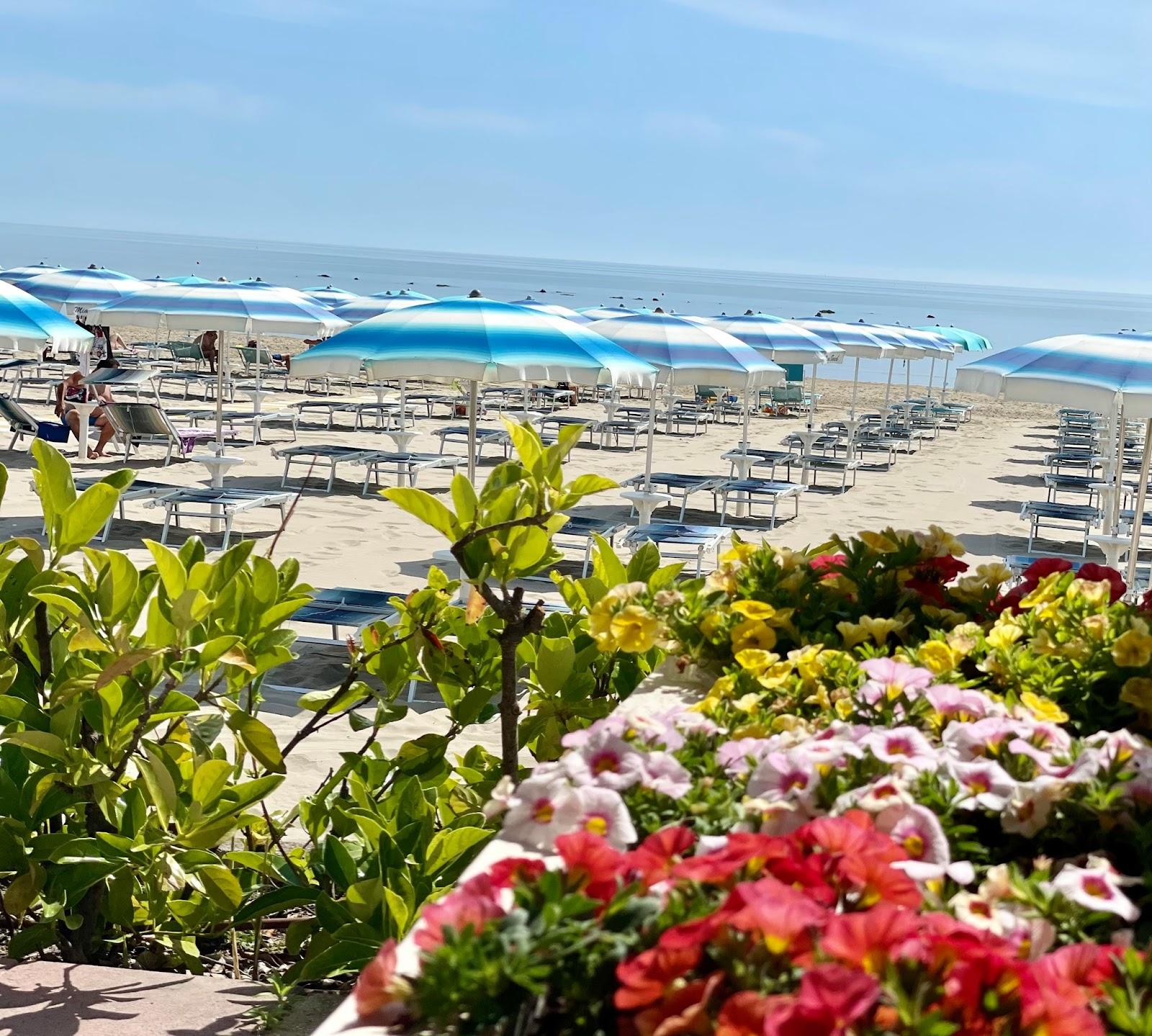 Sandee Chalet Miami Beach