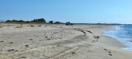 Sandee - Timari Beach
