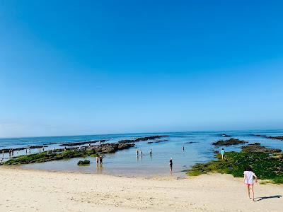 Sandee - Praia Da Tamargueira