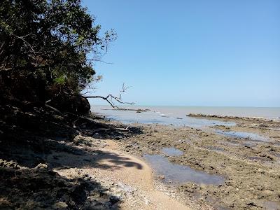 Sandee - Pantai Rongkang