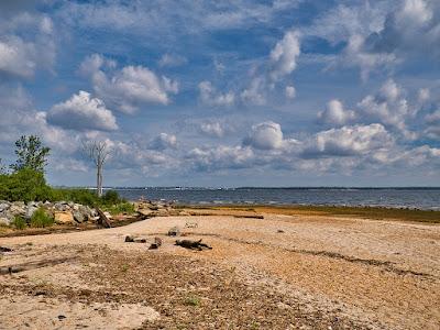 Sandee - Seidler Beach