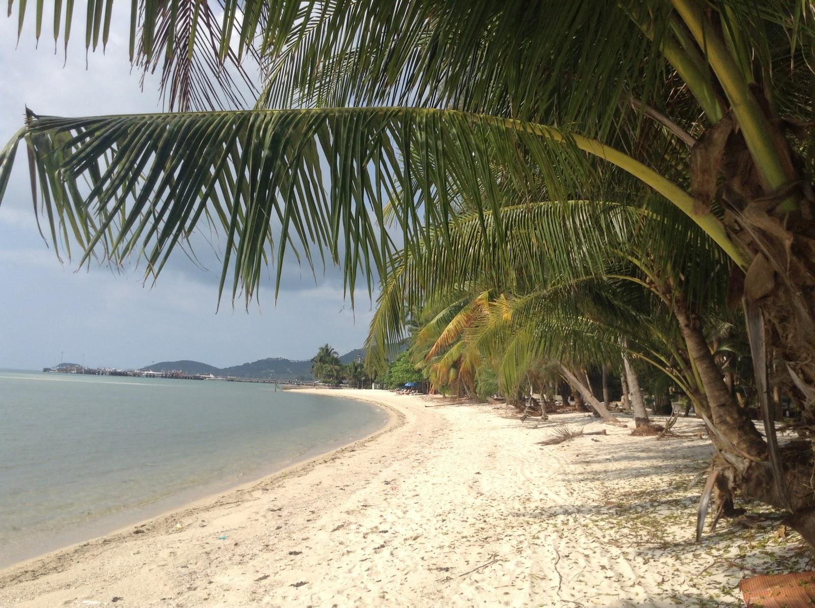 Sandee - HomePage / Koh Samui