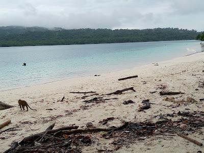 Sandee - Pulau Peucang Beach