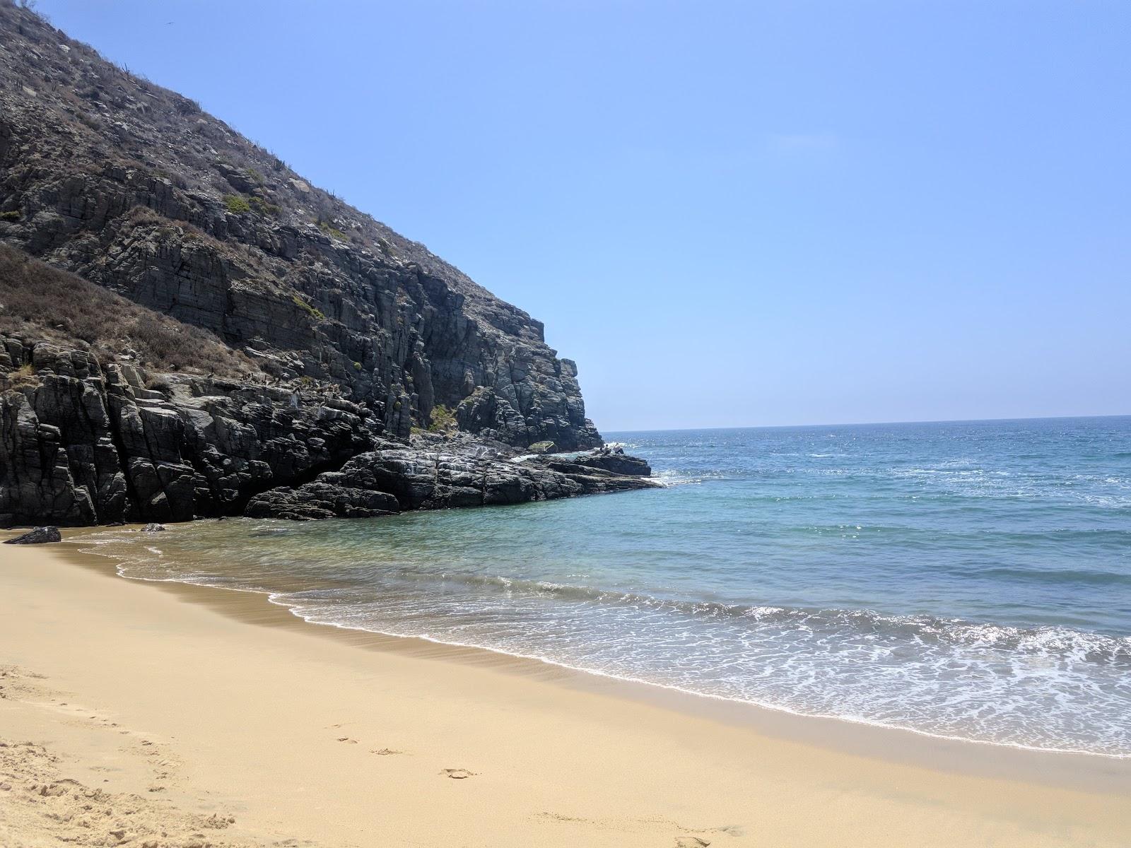 Sandee Bateria Punta Lobos