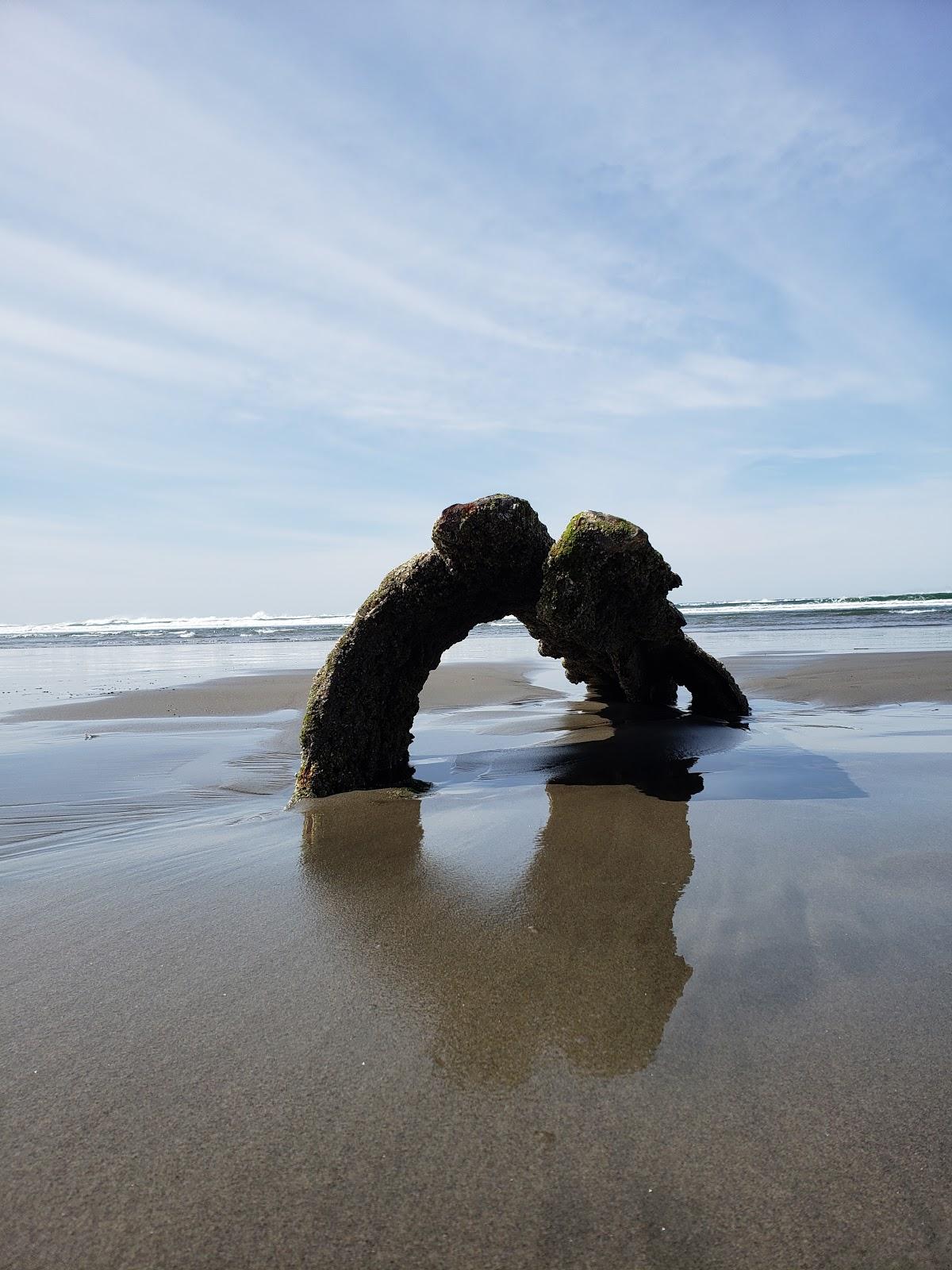 Sandee - Wreck Of The Peter Iredale