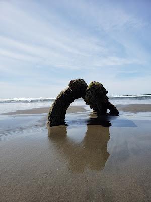 Sandee - Wreck Of The Peter Iredale