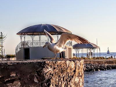 Sandee - Umag Sandy Beach