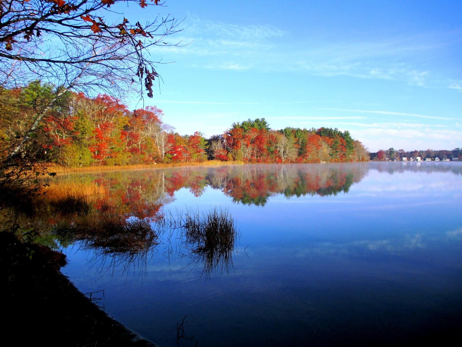 Sandee Stetson Pond Beach Photo