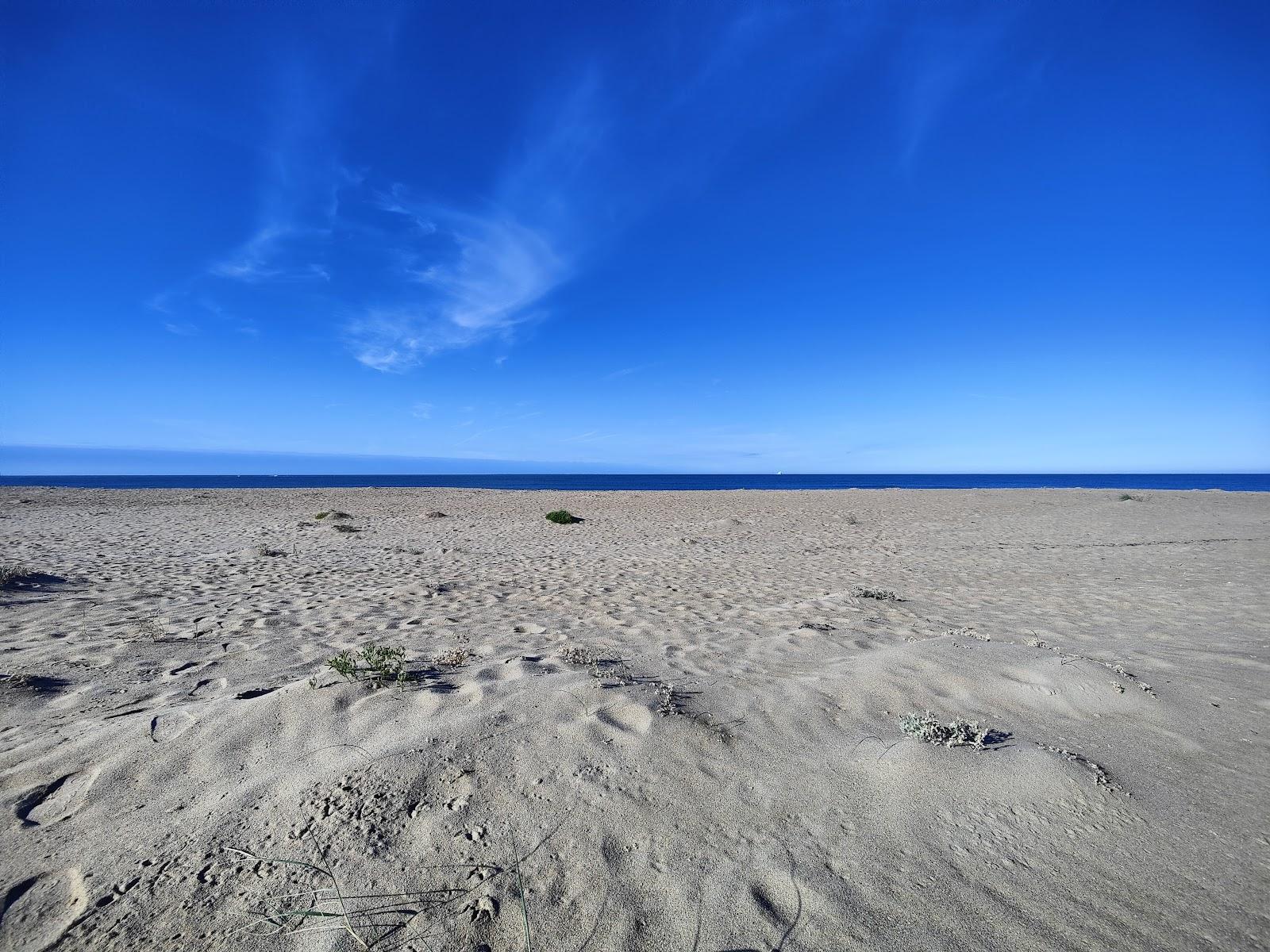 Sandee Plage Des Boucholeurs Photo