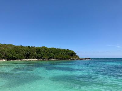 Sandee - Playa Pata Prieta