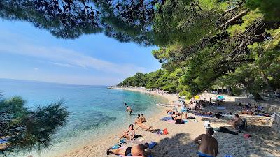 Sandee - Punta Rata Beach