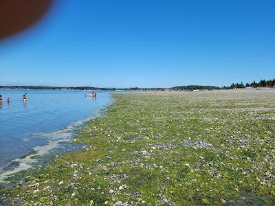 Sandee - Birch Bay State Park