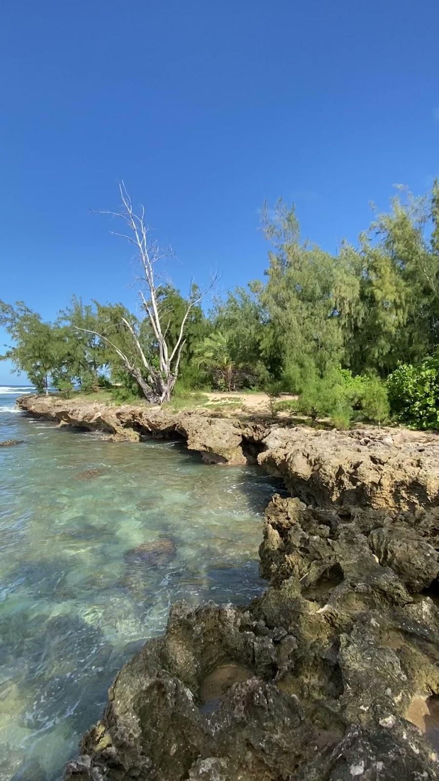 Sandee - Kawela Bay Beach