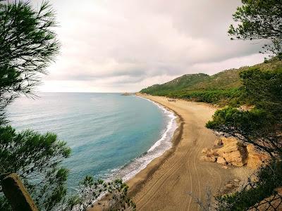 Sandee - El Torn Beach