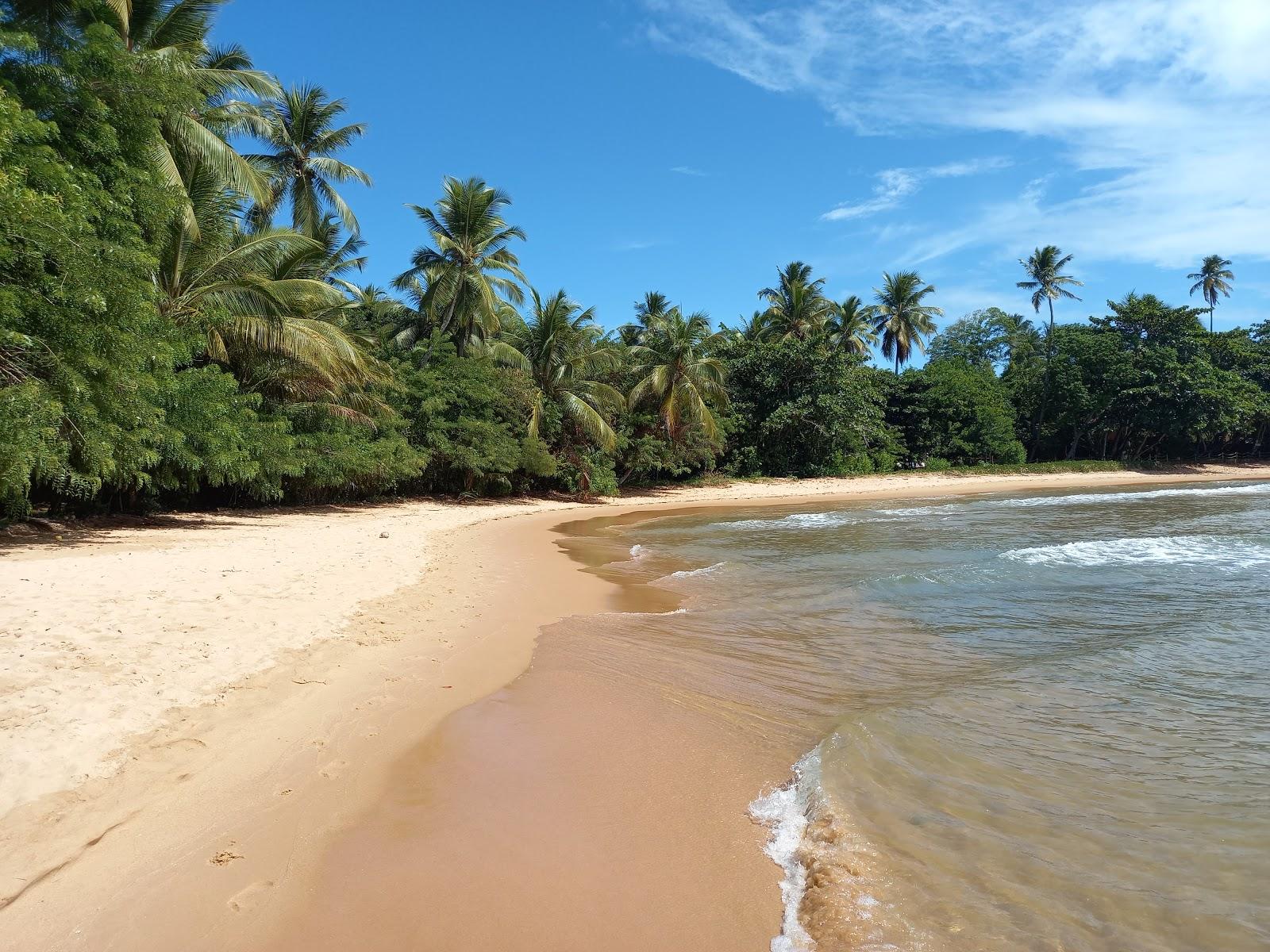 Sandee Praia De Barra Grande Photo