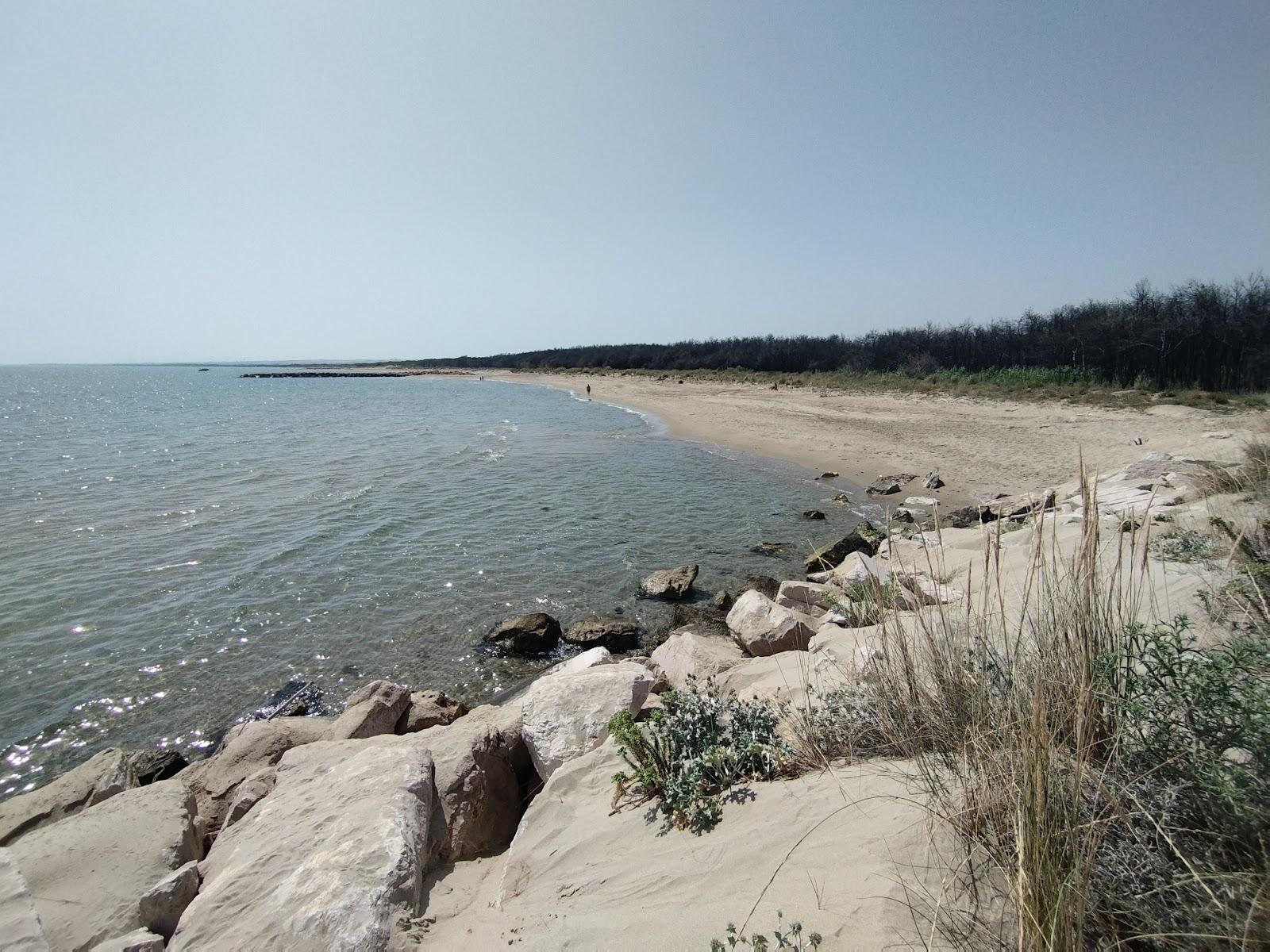 Sandee Spiaggia Di Vallona