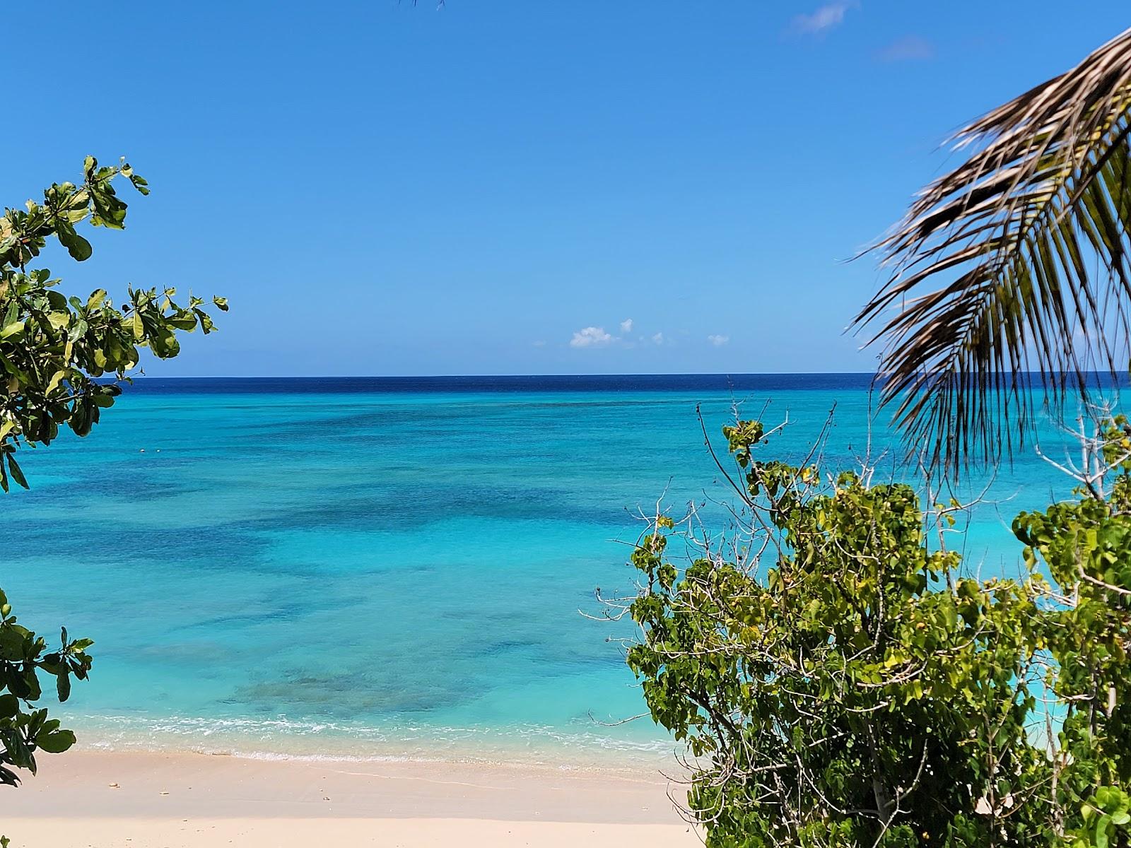 Sandee Osprey Beach