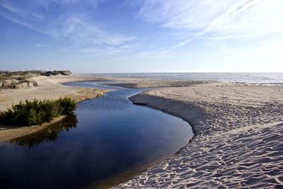 Sandee - Praia De Francemar