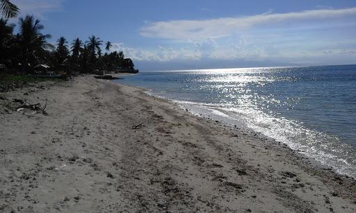 Sandee - Candanay Sur Beach