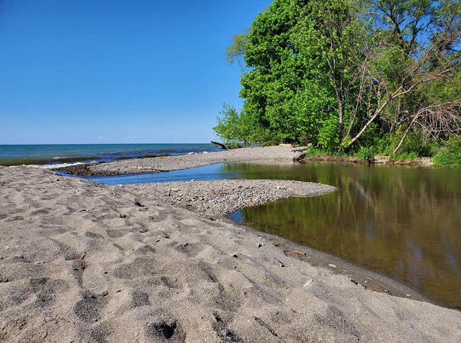 Sandee Arcola Creek Park