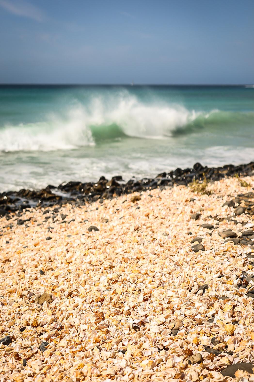 Sandee - Shell Cemetery Beach