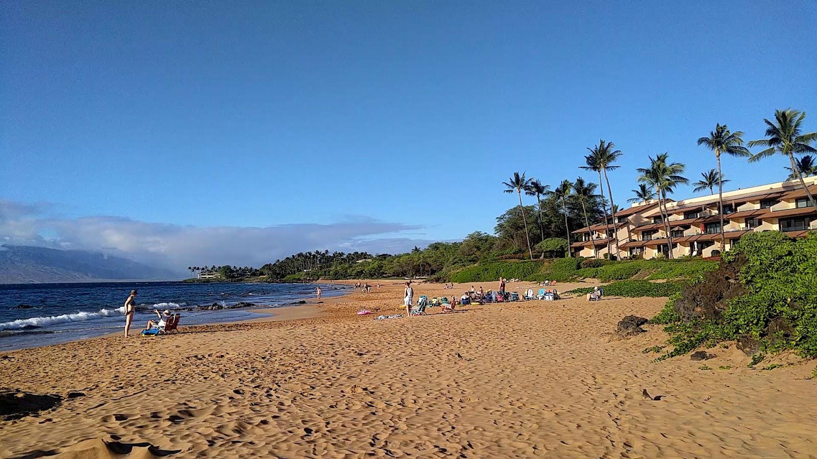 Sandee - Po'Olenalena Beach