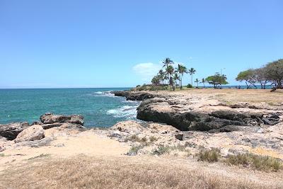 Sandee - Lualualei Beach