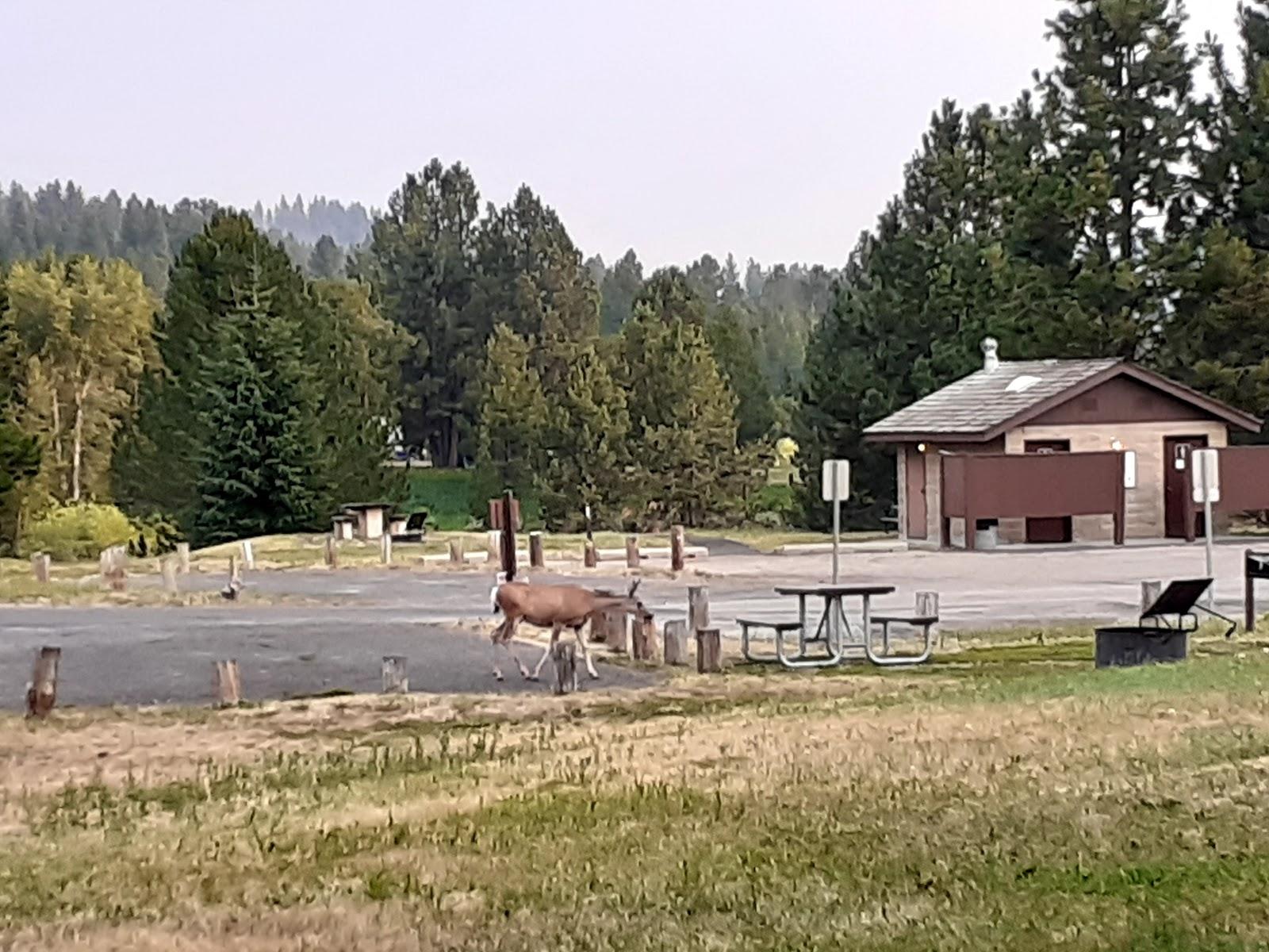 Sandee Blue Heron Campground