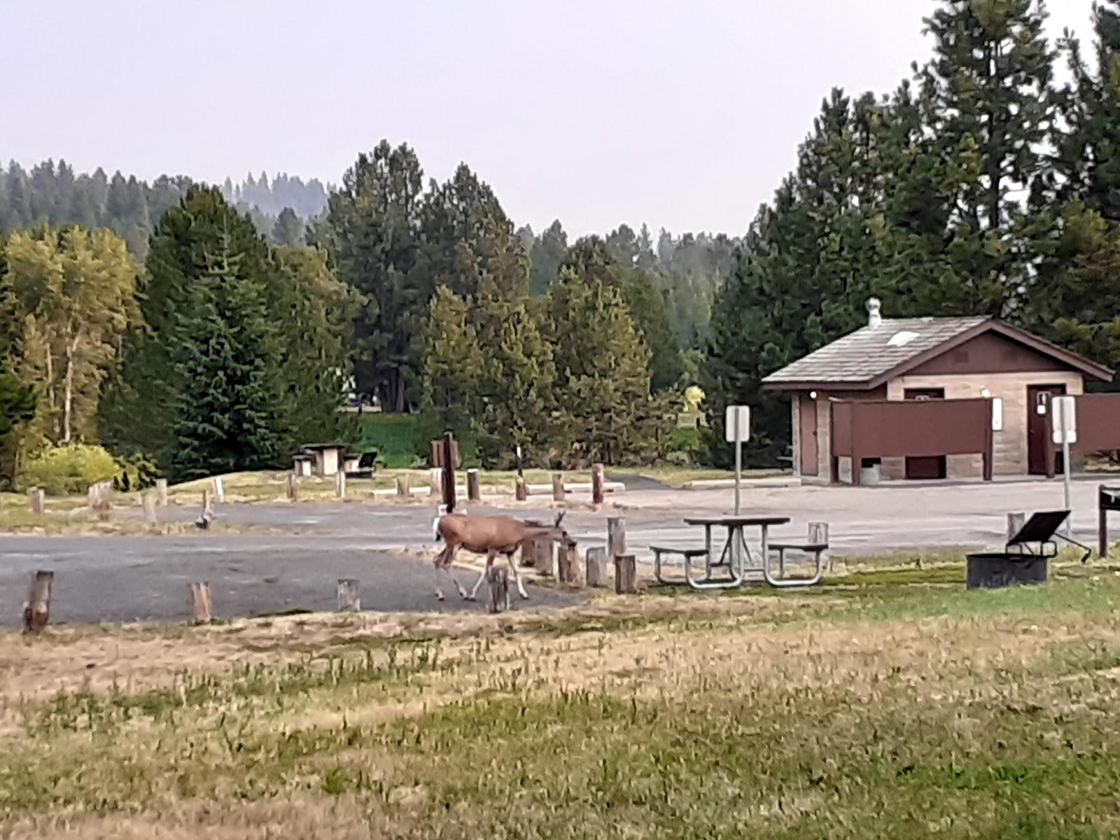 Sandee Blue Heron Campground Photo