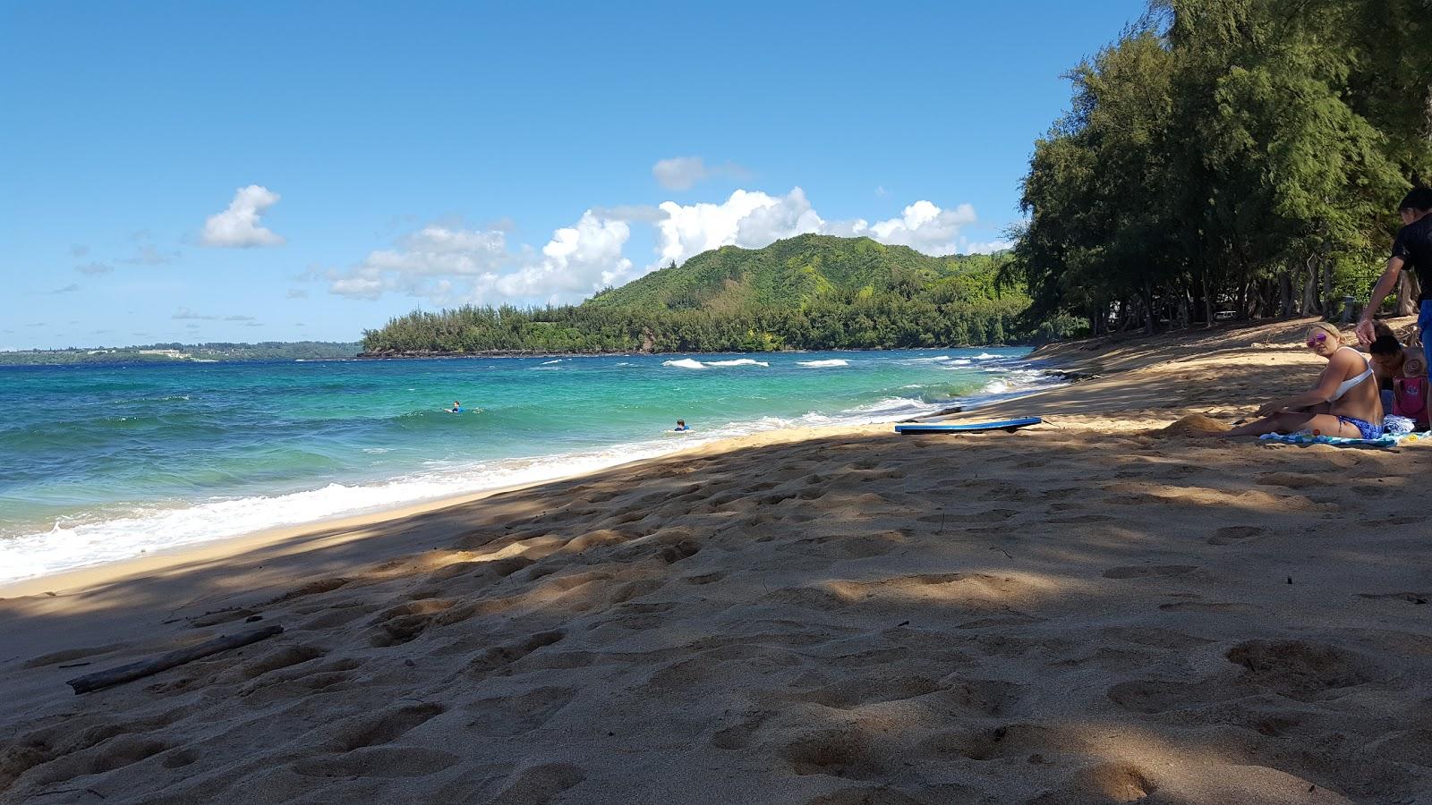 Sandee - Wainiha Bay