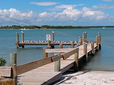 Sandee - South Causeway Park Beach