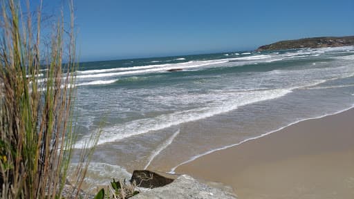 Sandee Praia Do Maneloni Photo