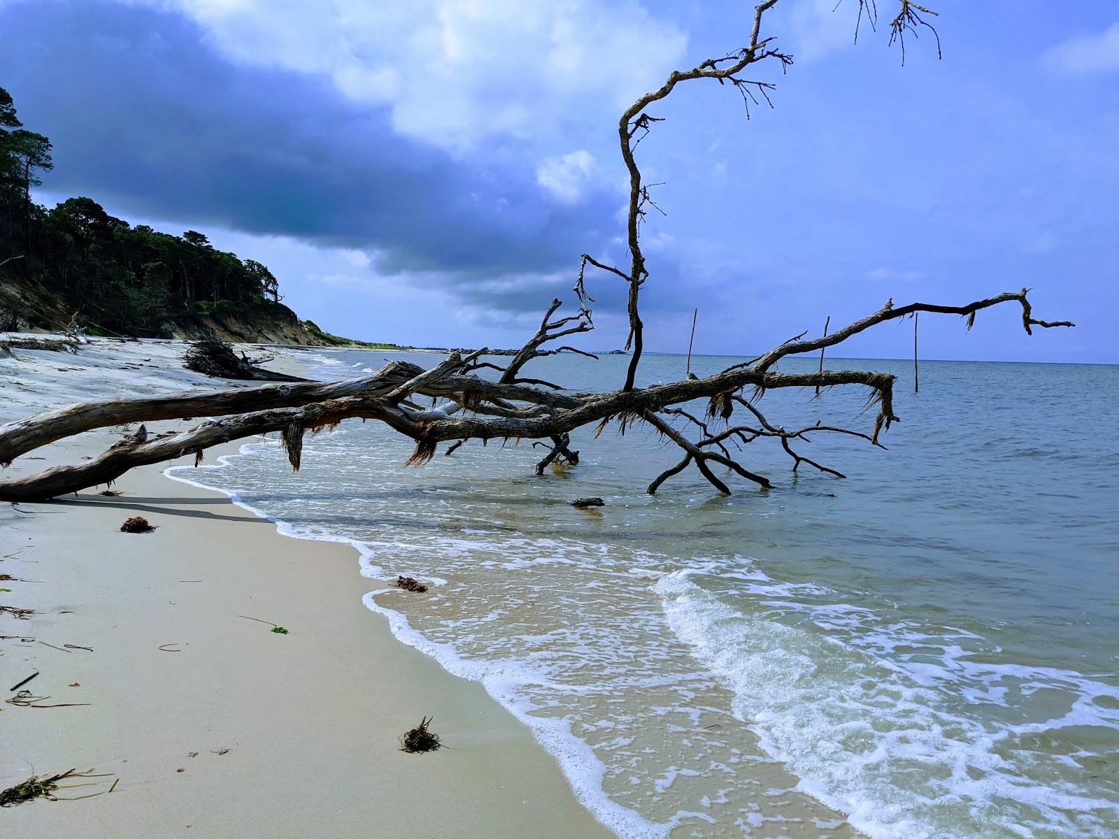 Sandee William B. Trower Bayshore Natural Area Preserve