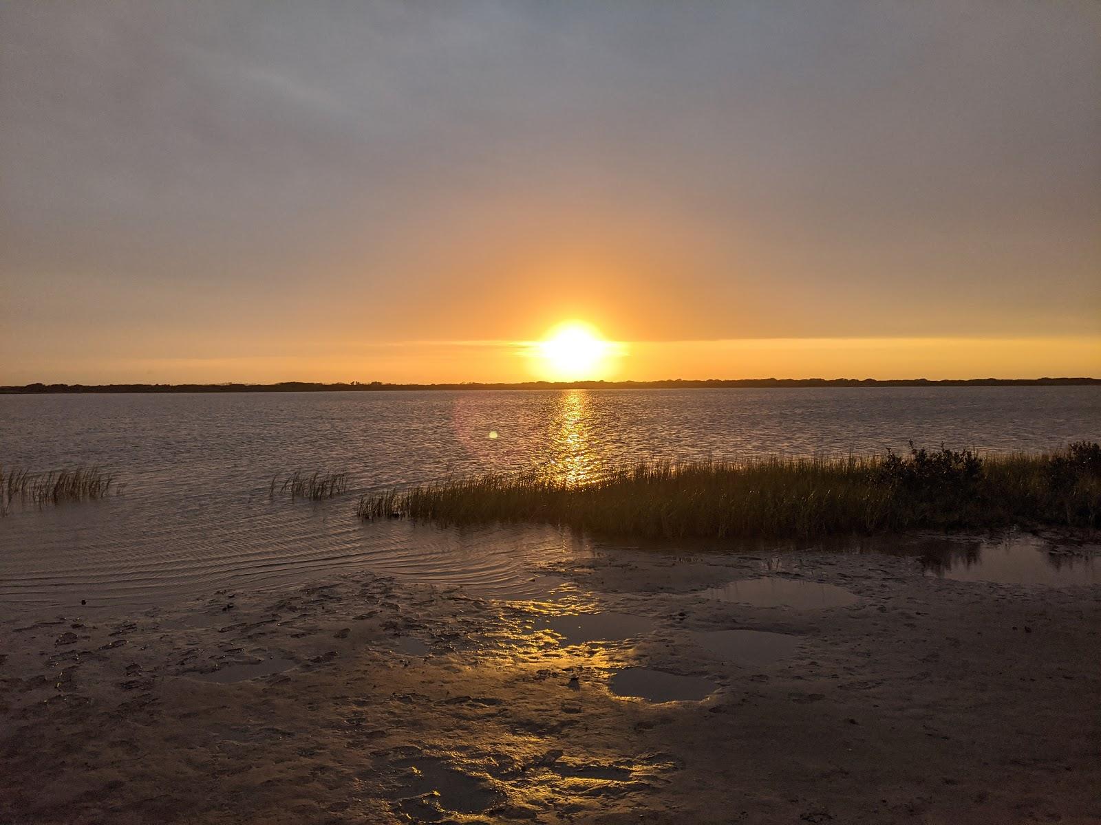 Sandee Boggy Bayou
