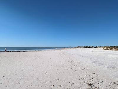 Sandee - Dunedin Beach