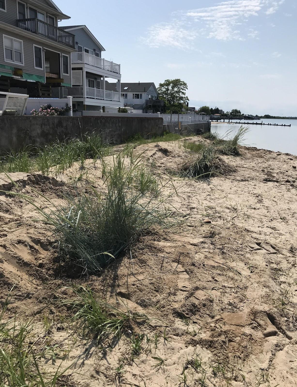 Sandee Little America Beach