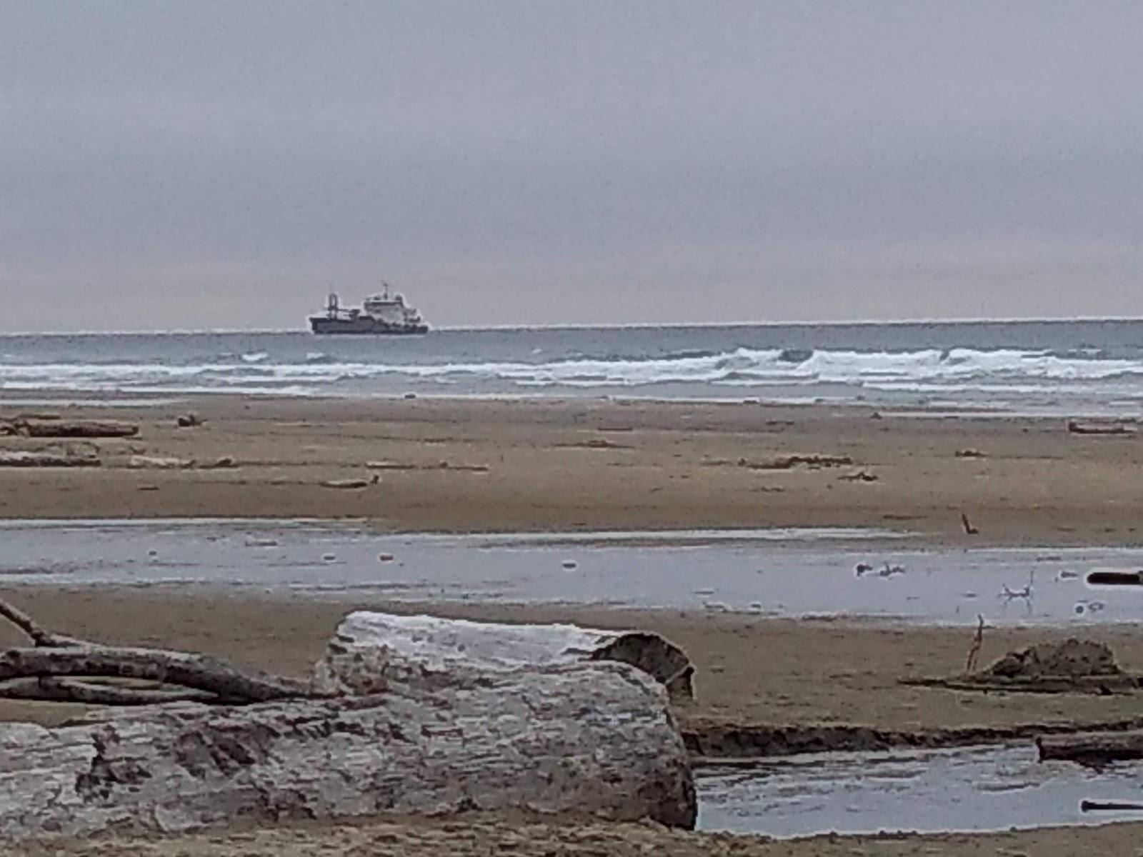 Sandee Beach Access Trail