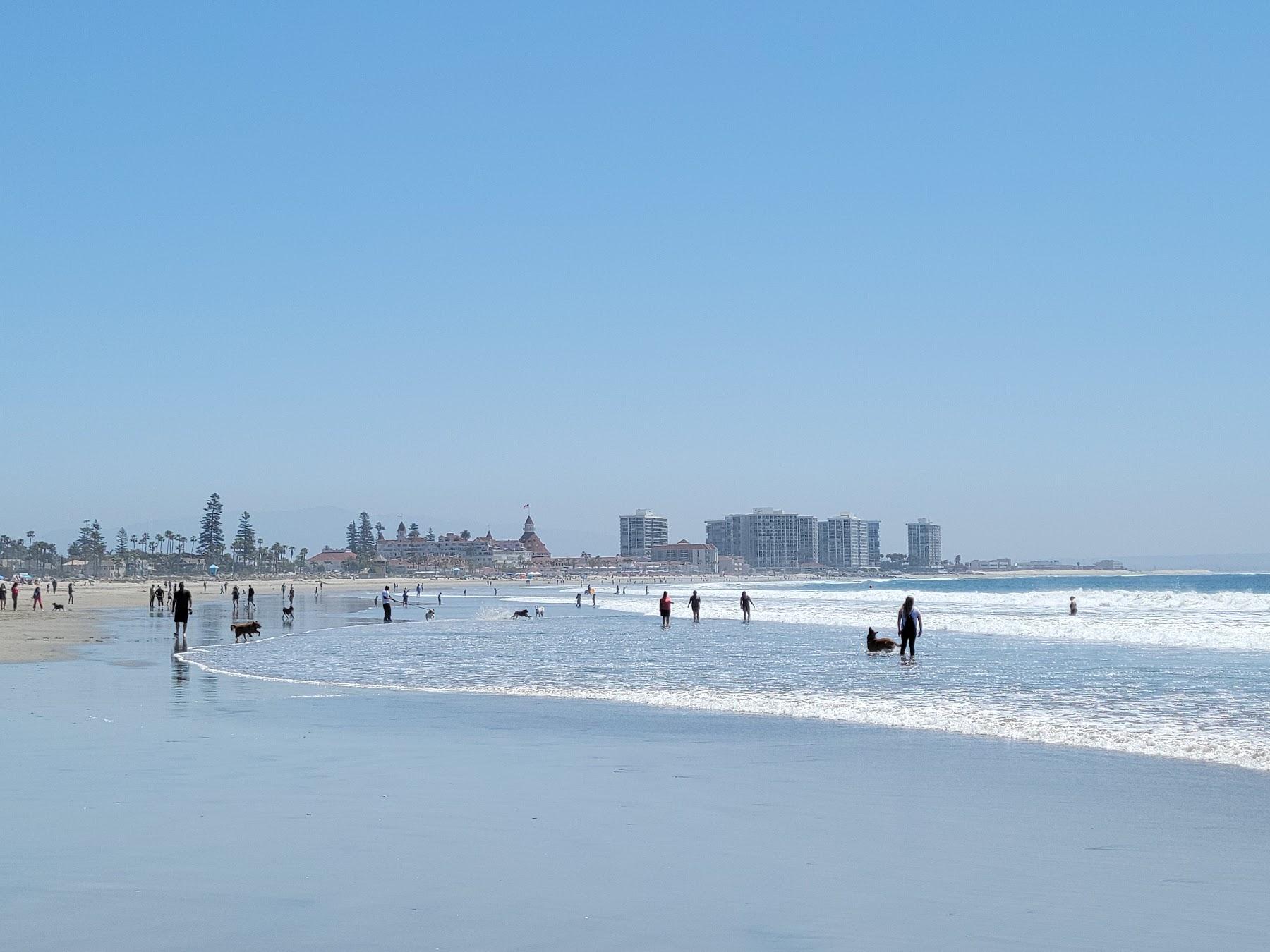 Sandee Coronado Dog Beach