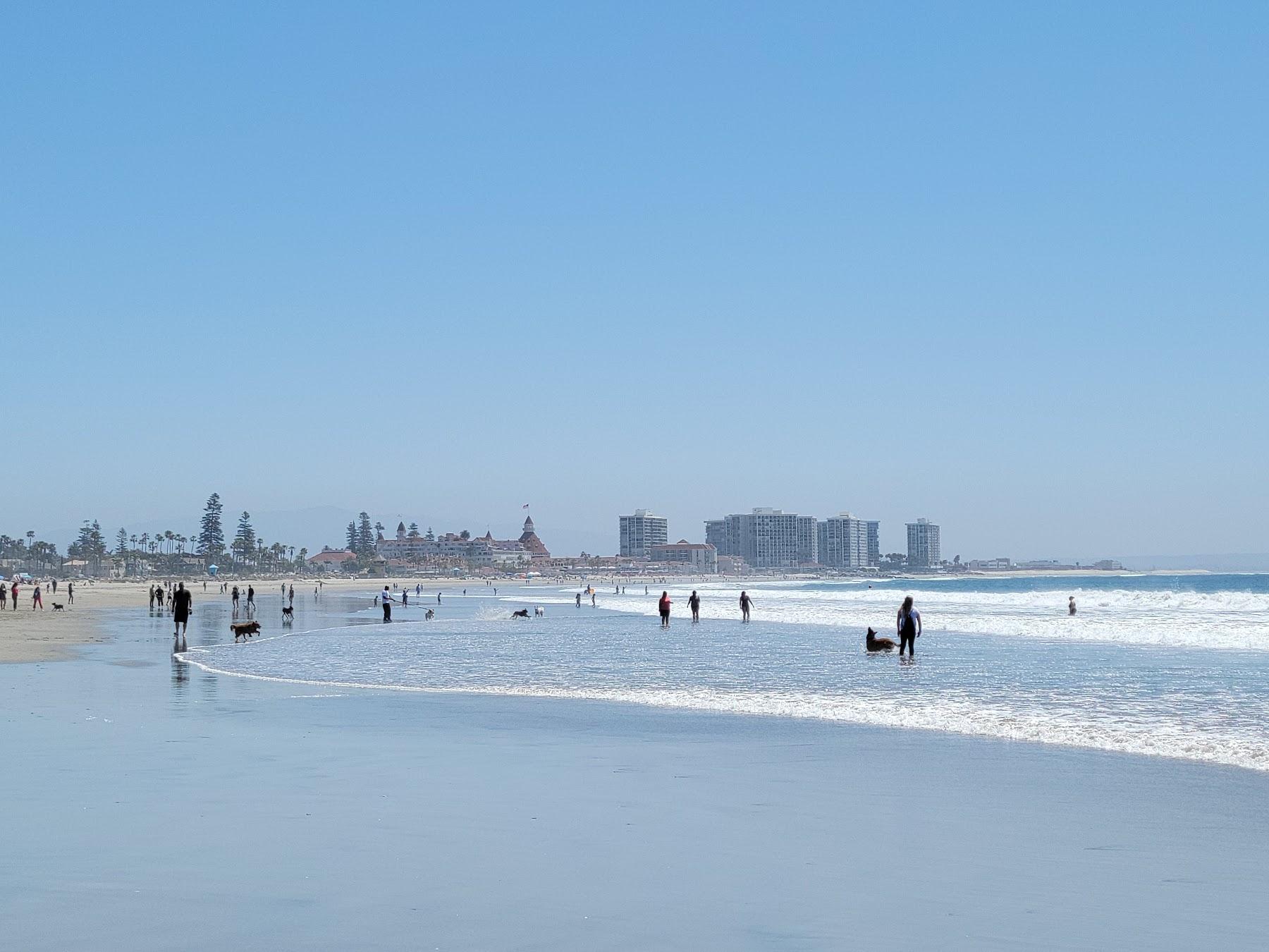 Sandee Coronado Dog Beach Photo