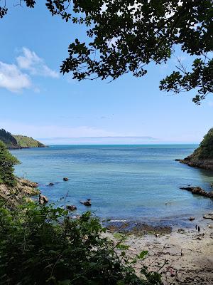 Sandee - Sugary Cove Beach