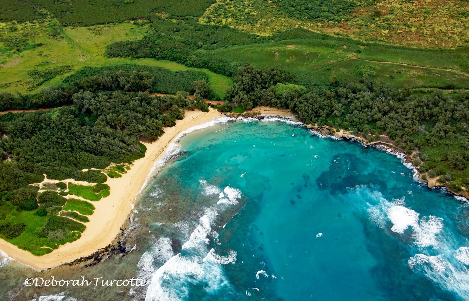 Sandee Kawailoa Bay Beach Photo