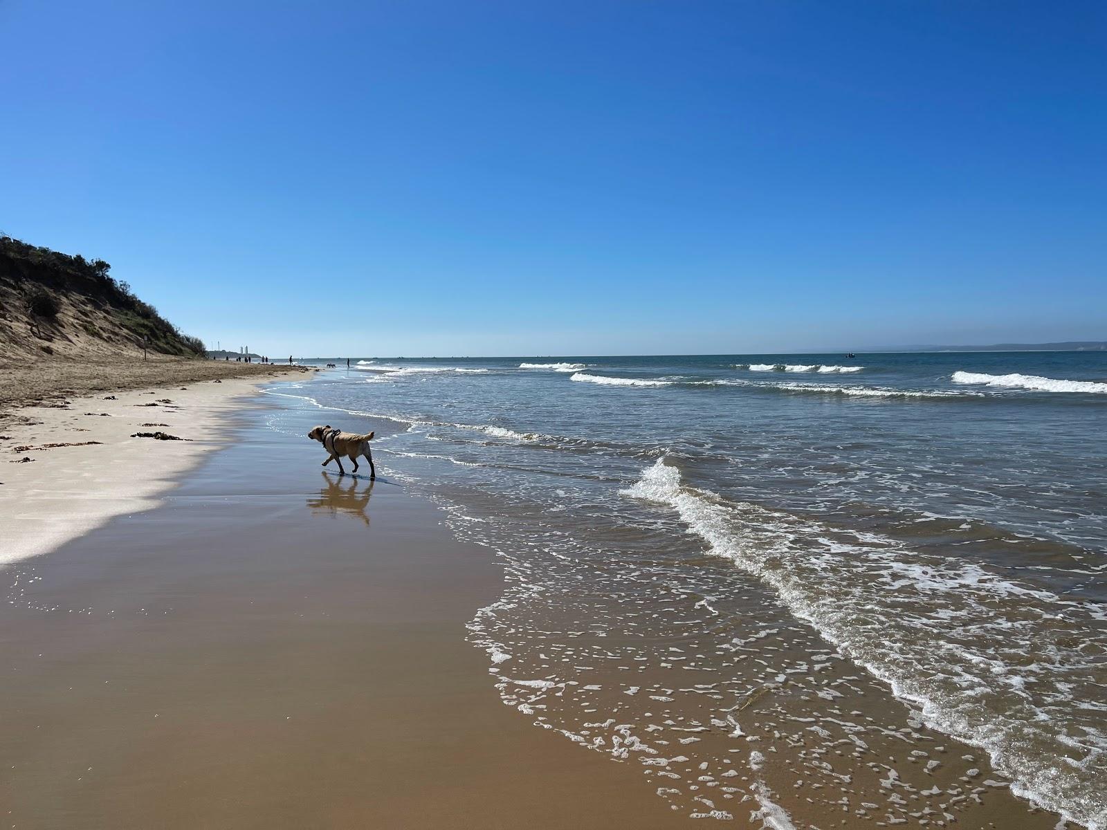 Sandee Point Lonsdale Dog Beach