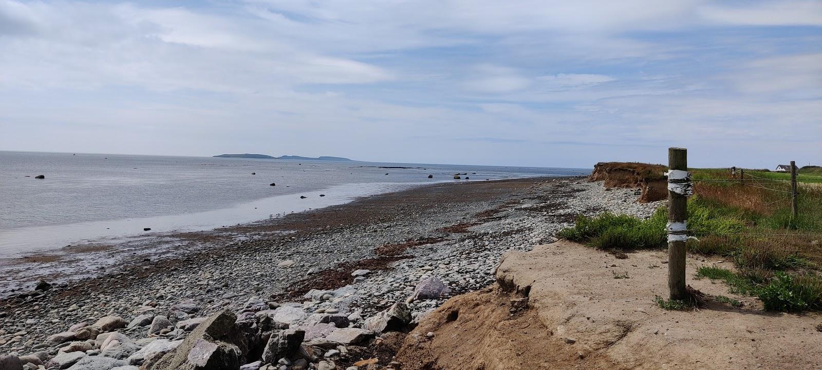 Sandee Ballygrangans Bay Beach