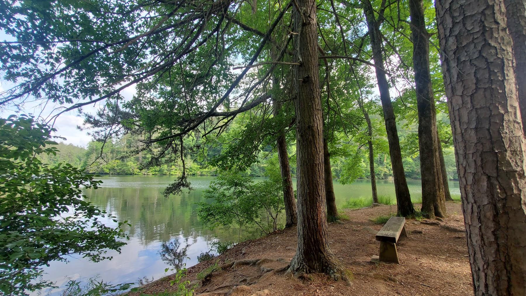 Sandee Lake Rabun Beach