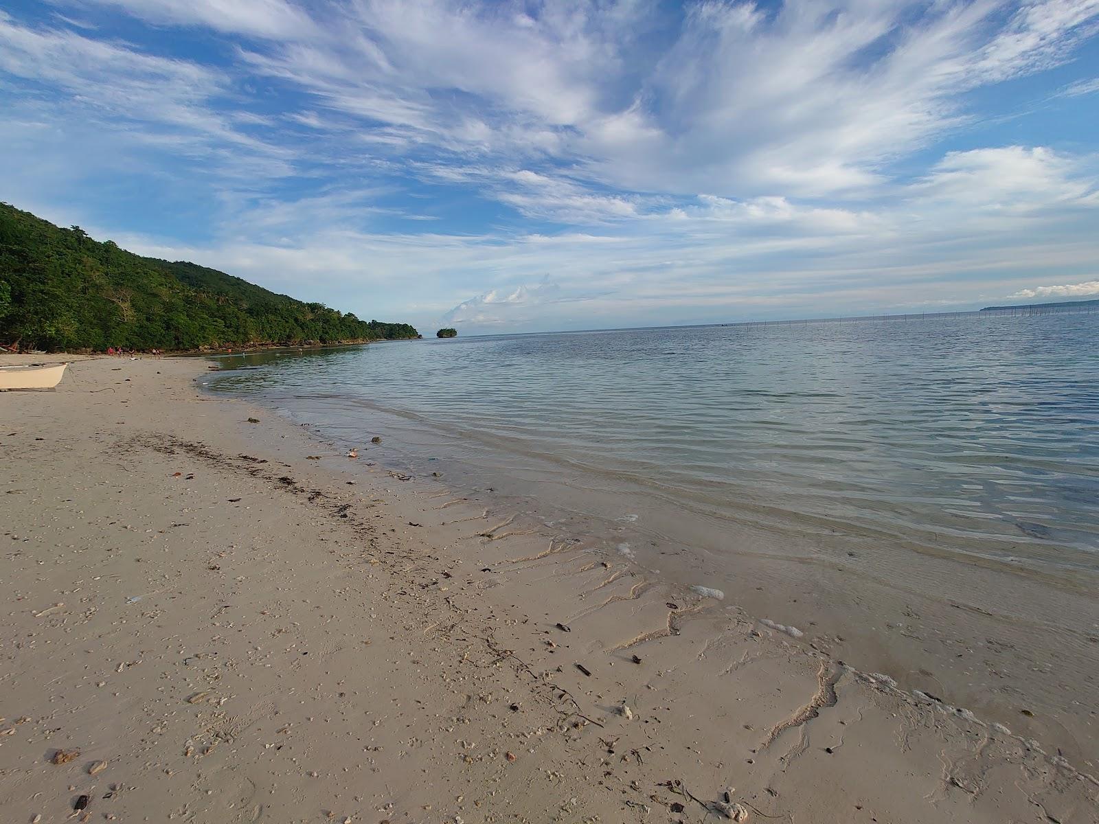 Sandee Lara Beach Bohol Photo