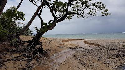 Sandee - Black Rock Beach Fiji