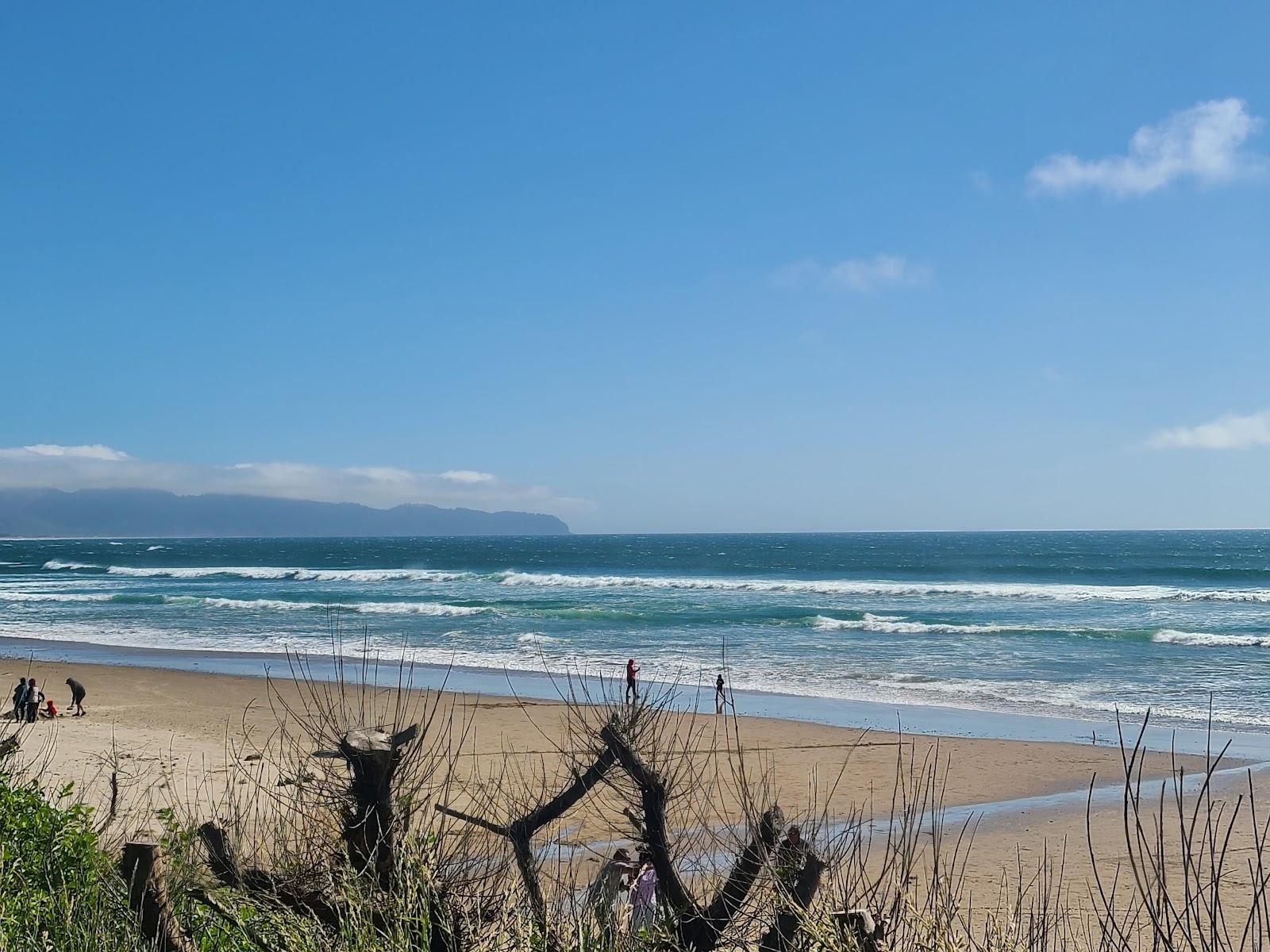 Sandee - Oceanside Beach State Recreation Site