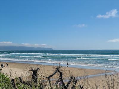 Sandee - Oceanside Beach State Recreation Site