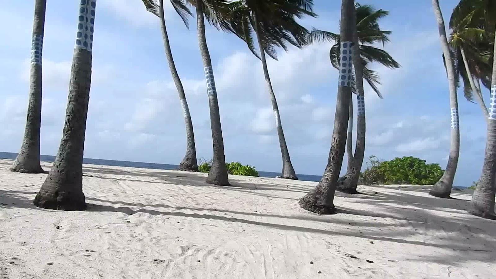 Sandee Geiymiskih Fannu